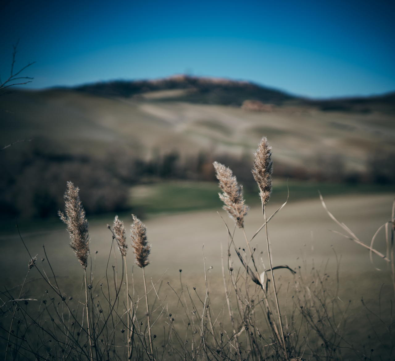 Val D'Orcia