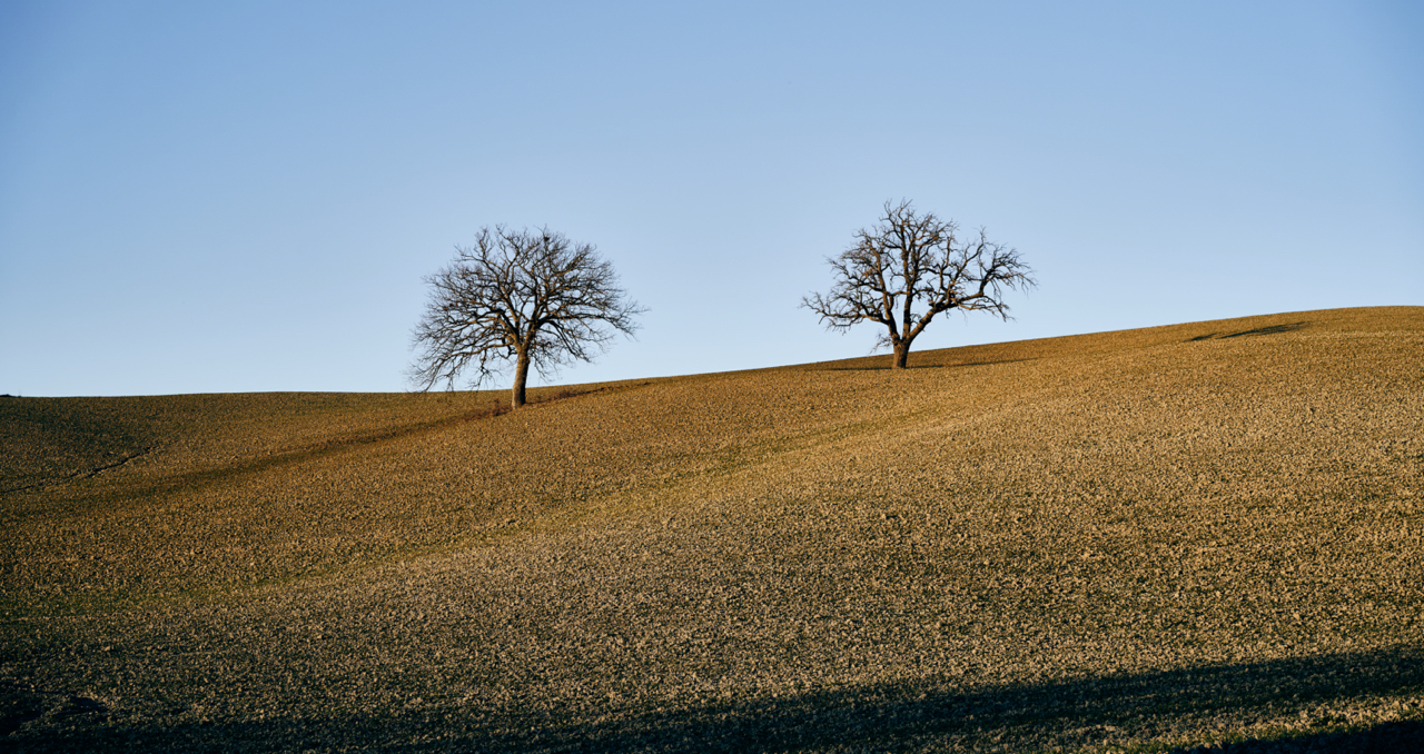 Val D'Orcia