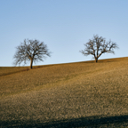 Val D'Orcia