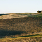 Val D'Orcia