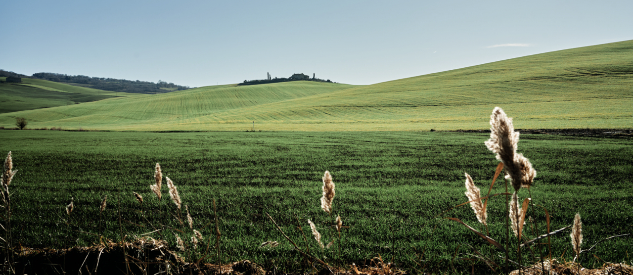 Val D'Orcia