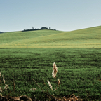 Val D'Orcia