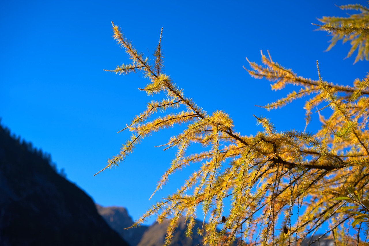 Braies_A7F0815.jpg