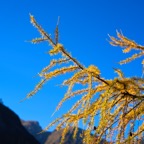 Braies_A7F0815.jpg