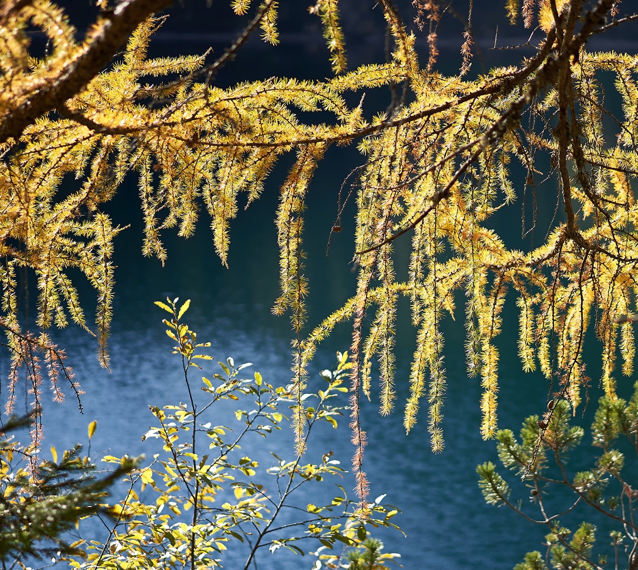 Braies_A7F0819.jpg