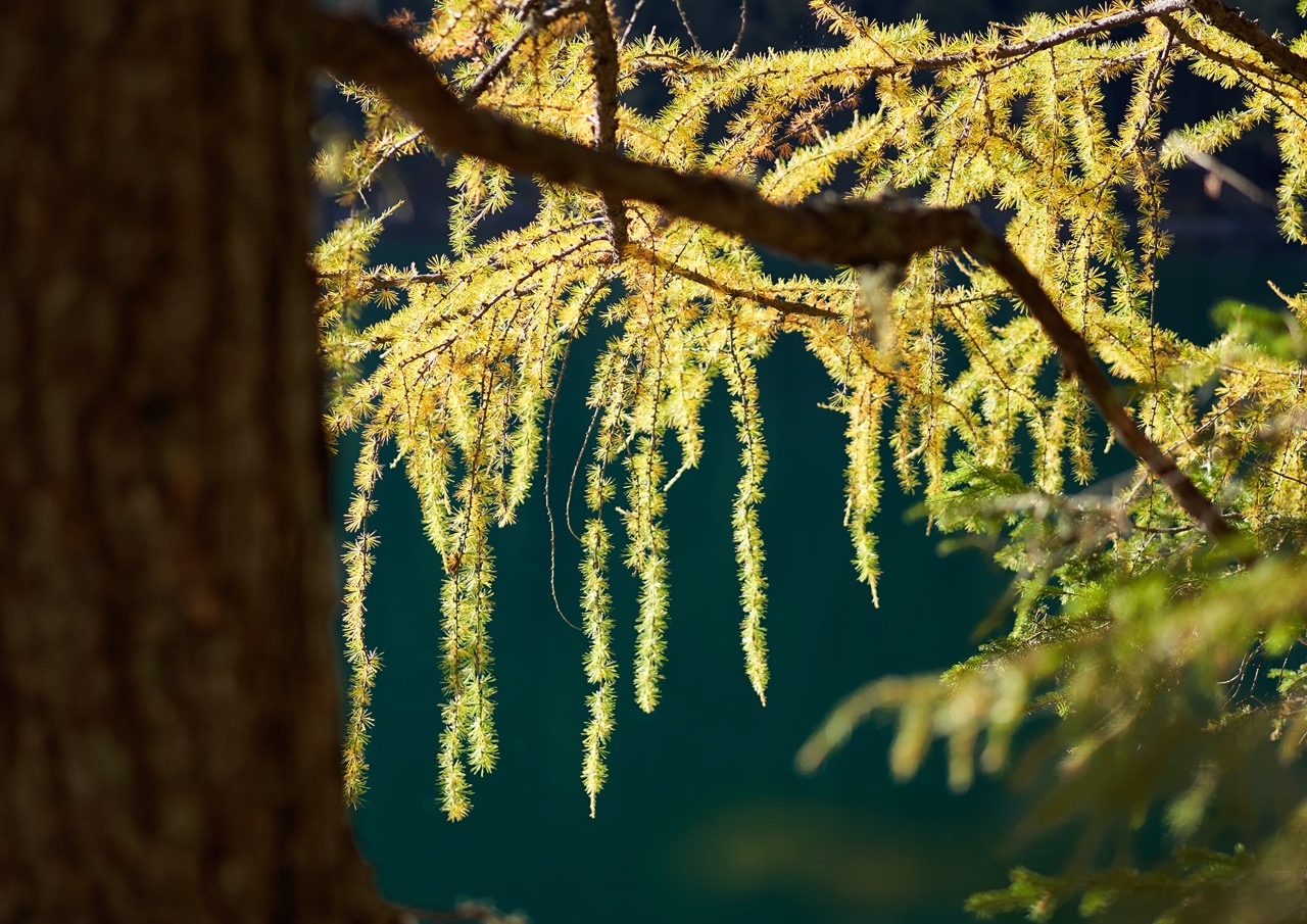 Braies_A7F0820.jpg