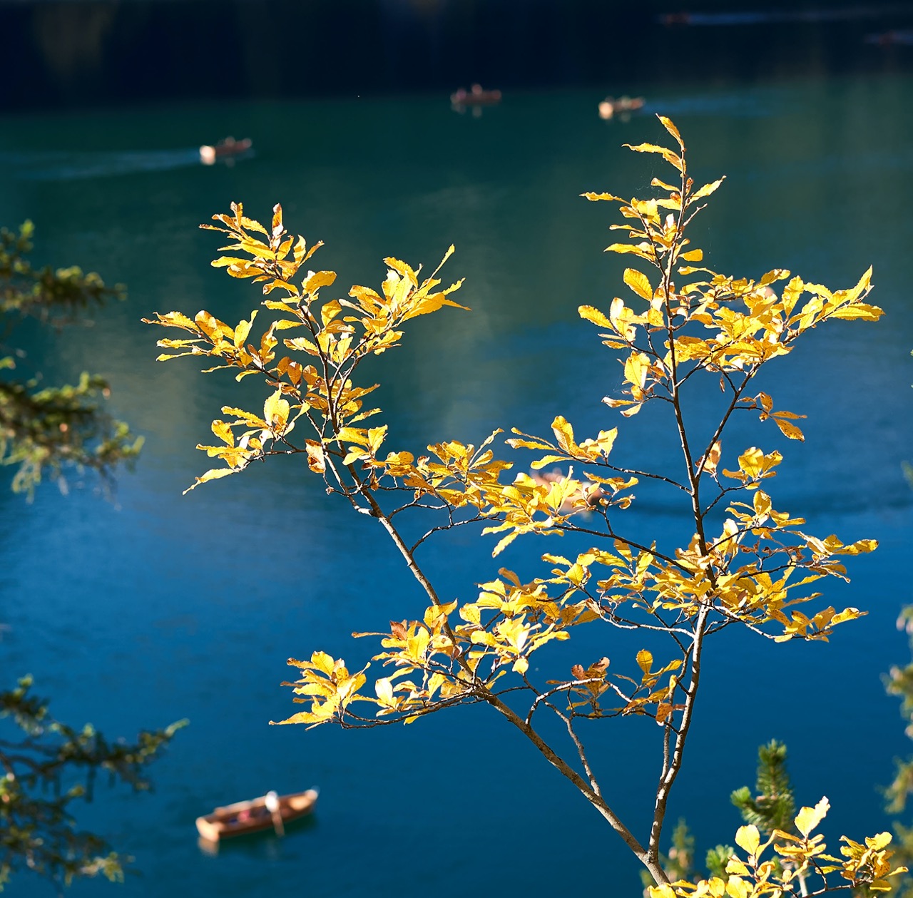 Braies_A7F0826.jpg