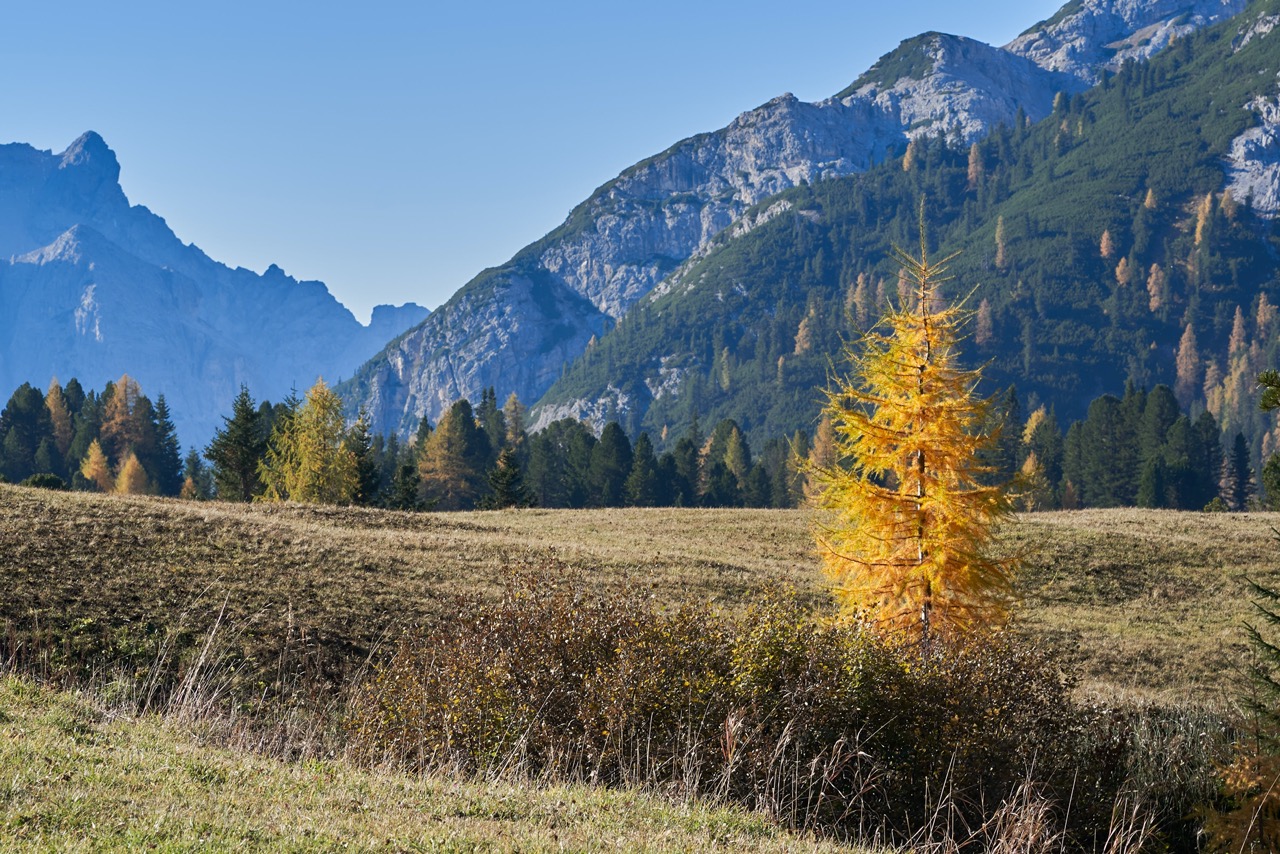 Braies_A7F0951.jpg