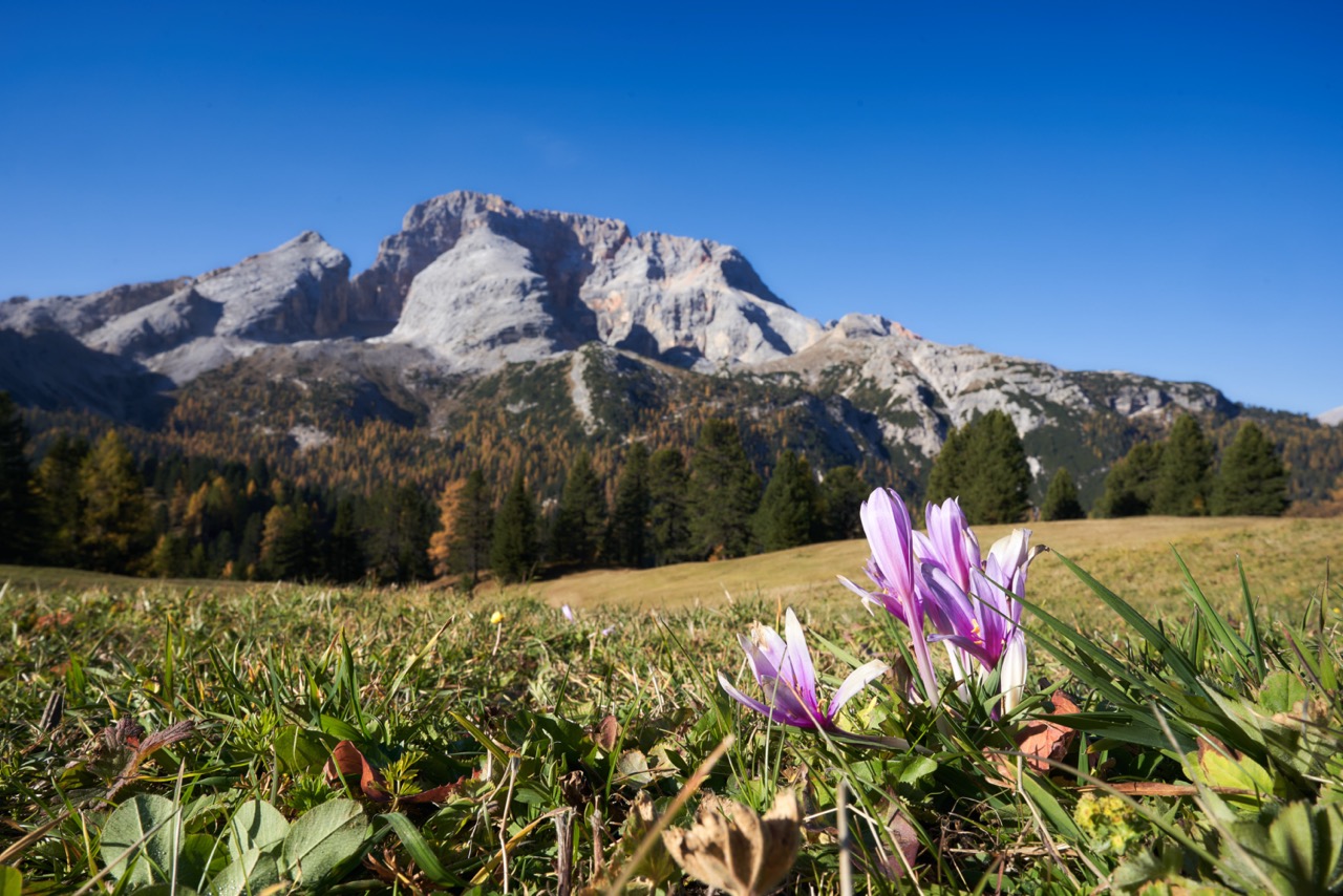 Braies_A7F0960.jpg