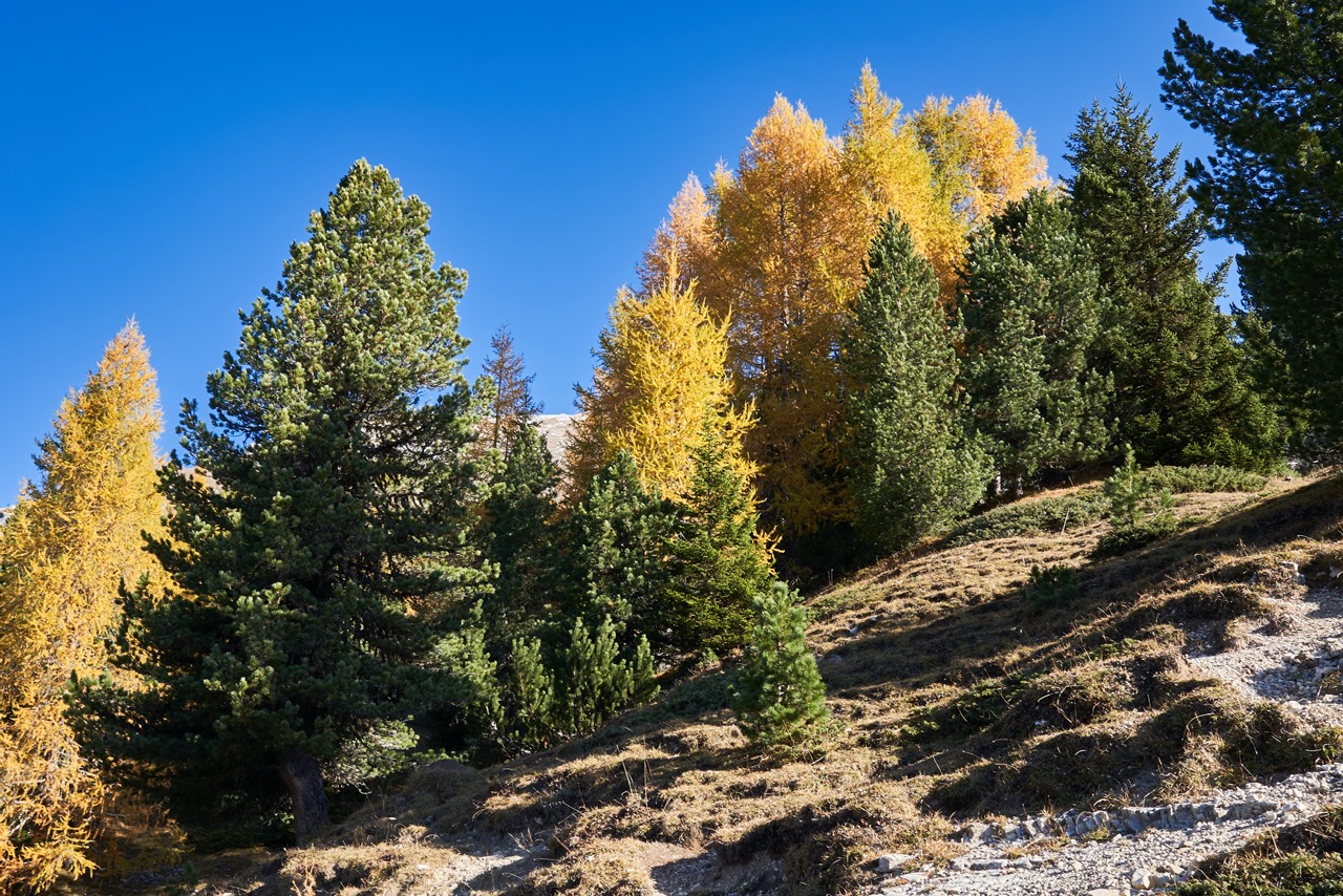 Braies_A7F0979.jpg