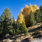 Braies_A7F0979.jpg