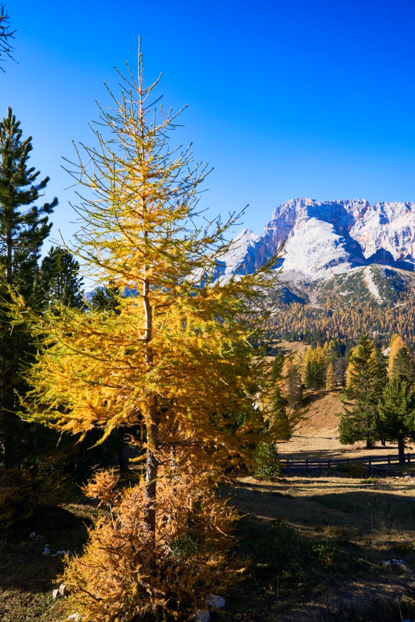 Braies_A7F0982.jpg