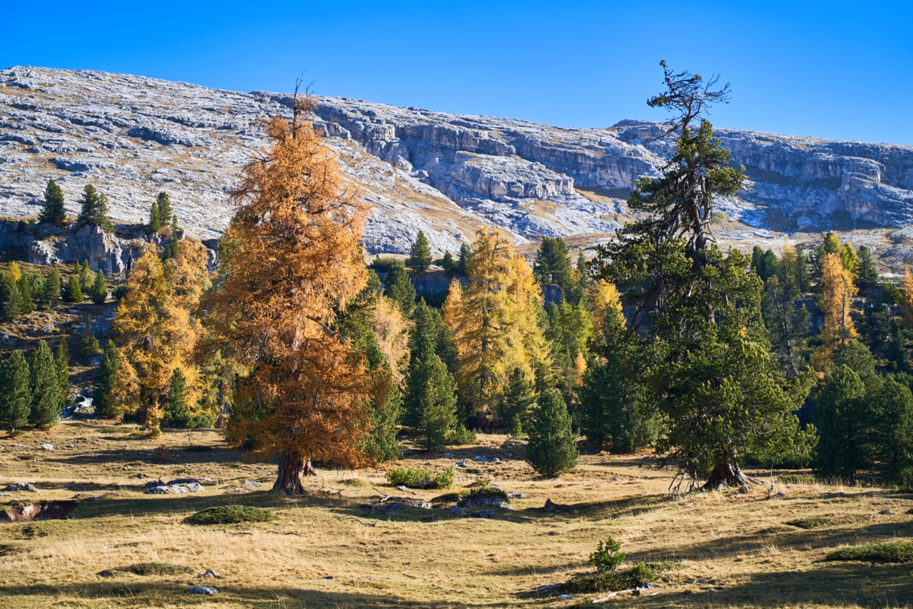 Braies_A7F0987.jpg