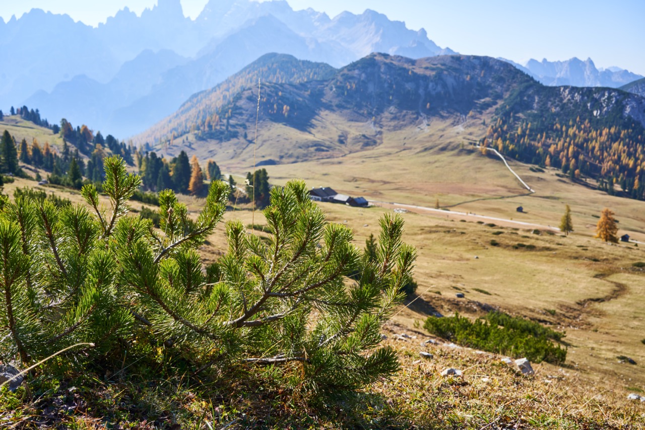 Braies_A7F1040.jpg