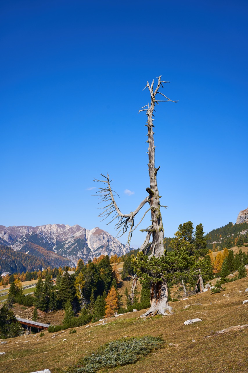 Braies_A7F1069.jpg