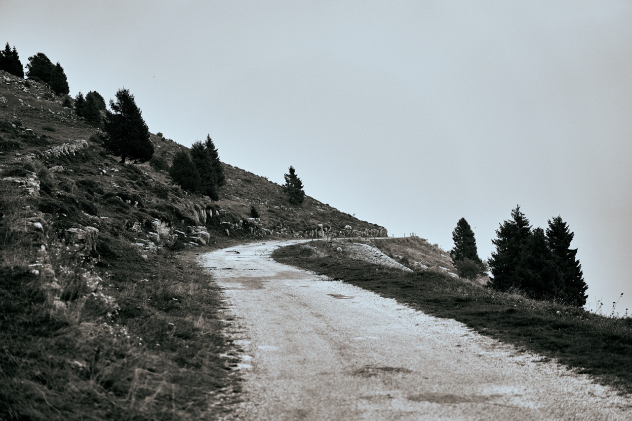 Malghe_A7F0378.jpg