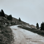 Malghe_A7F0378.jpg