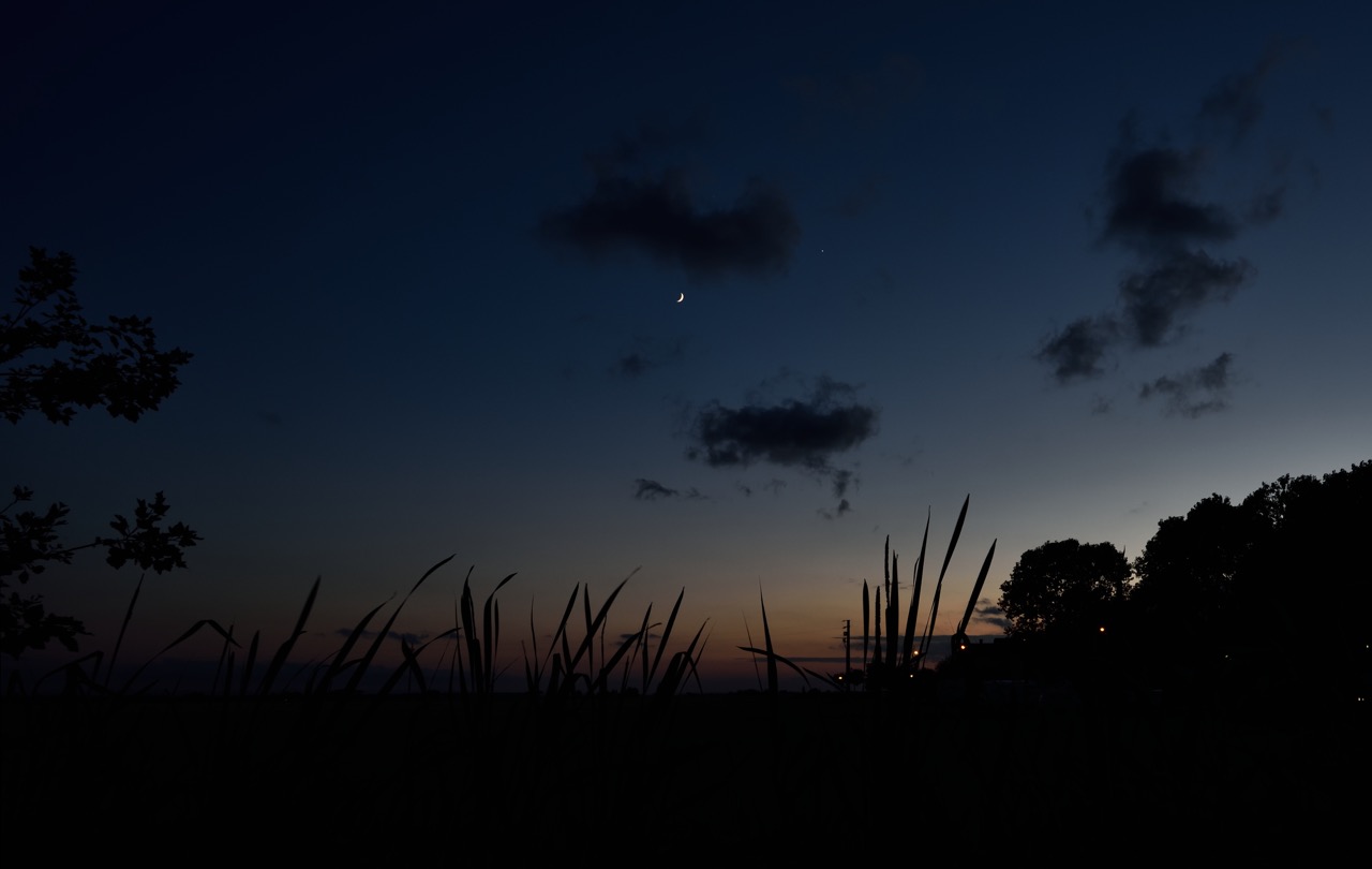 FRA_5598_00041.jpg