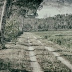 FRA_5611_002.jpg
