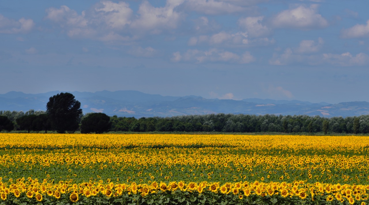 FRA_5640_008.jpg
