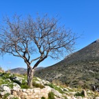 FRA_1798_007.jpg