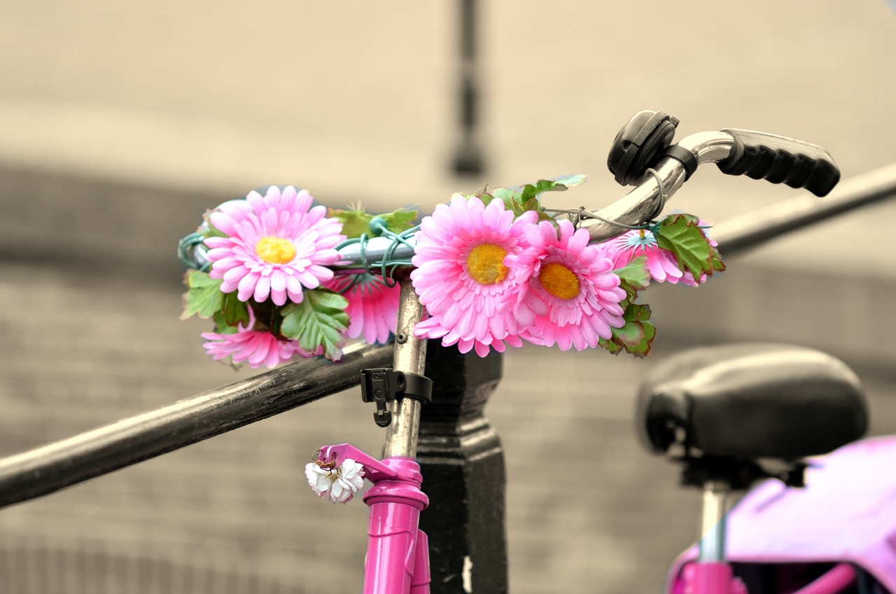 Bici Fiori.jpg