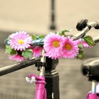 Bici Fiori.jpg