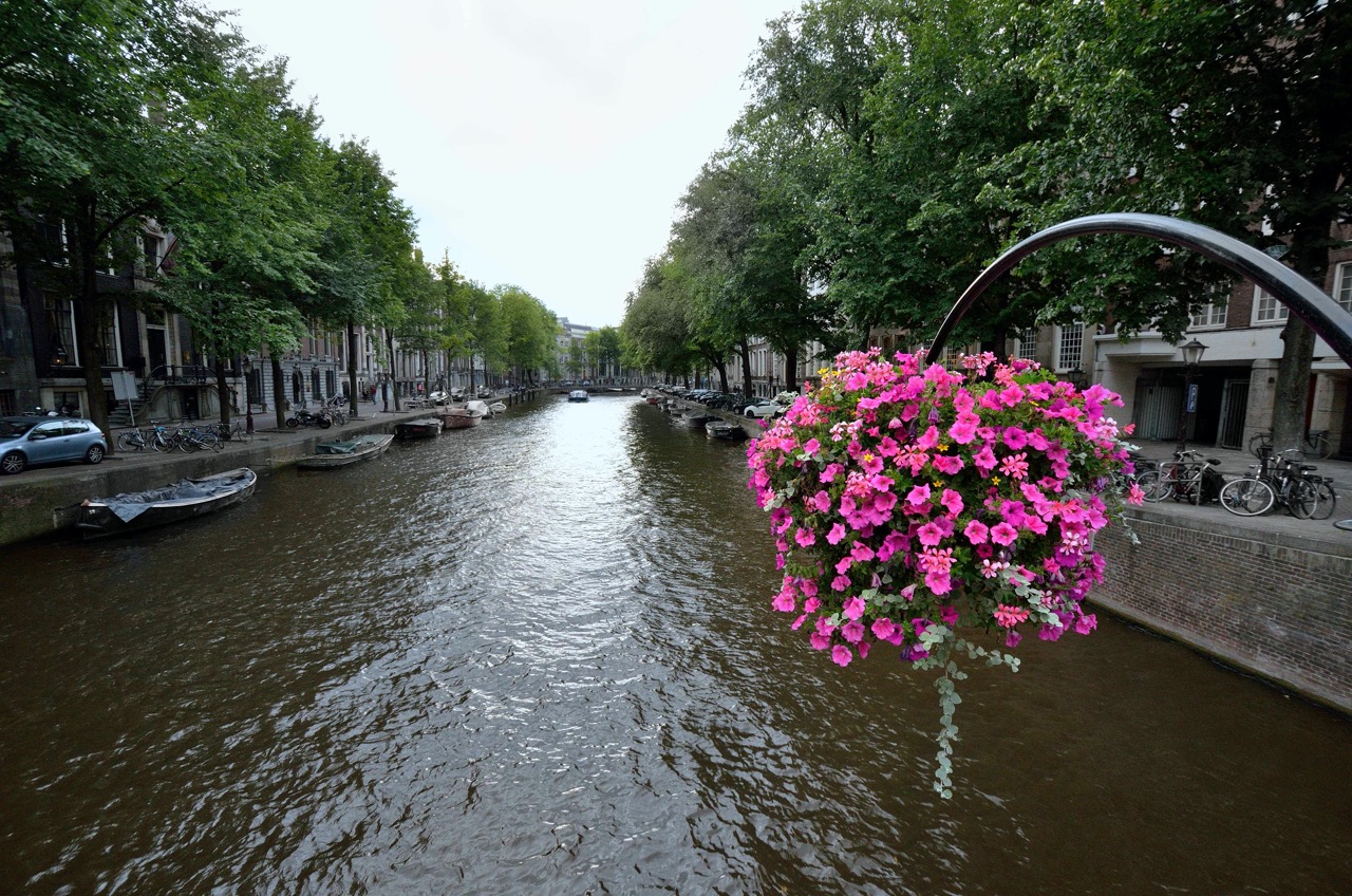 Canale fiori.jpg