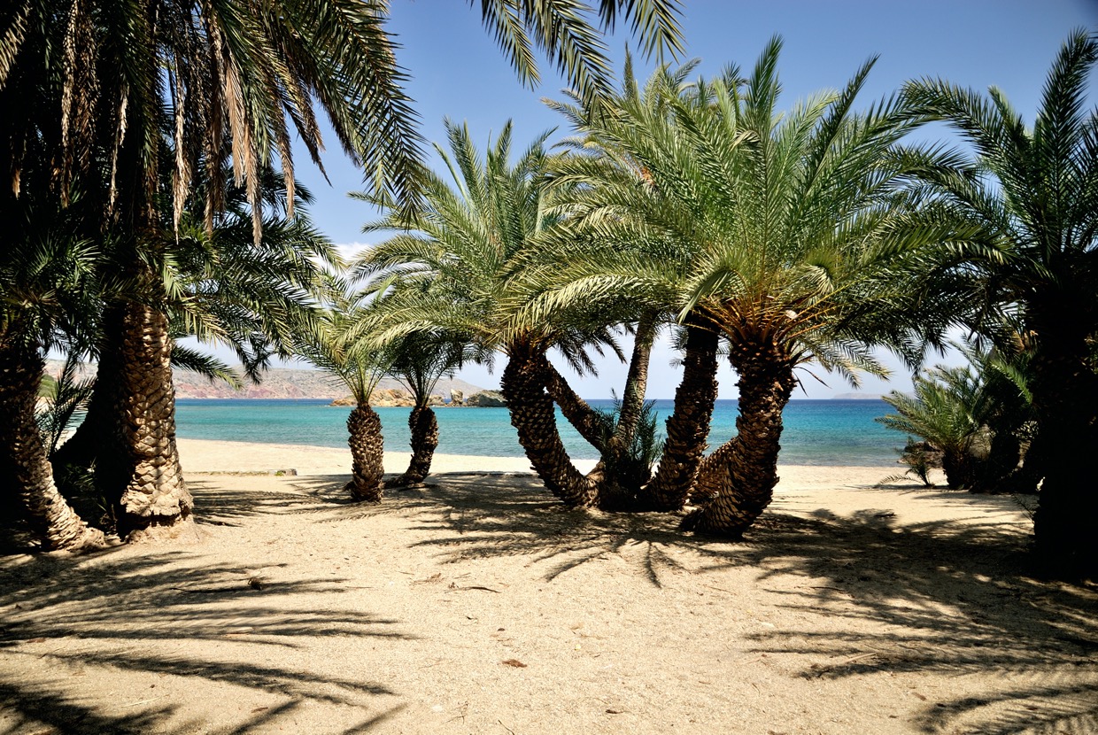 Creta 2012-03-28-474 .jpg