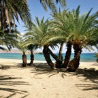 Creta 2012-03-28-474 .jpg