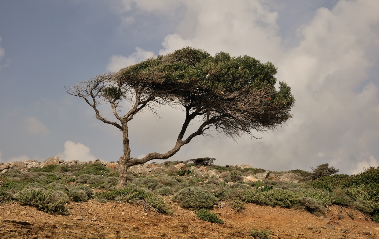 Creta 2012-03-28-496 .jpg