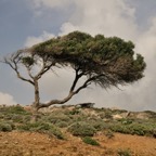 Creta 2012-03-28-496 .jpg