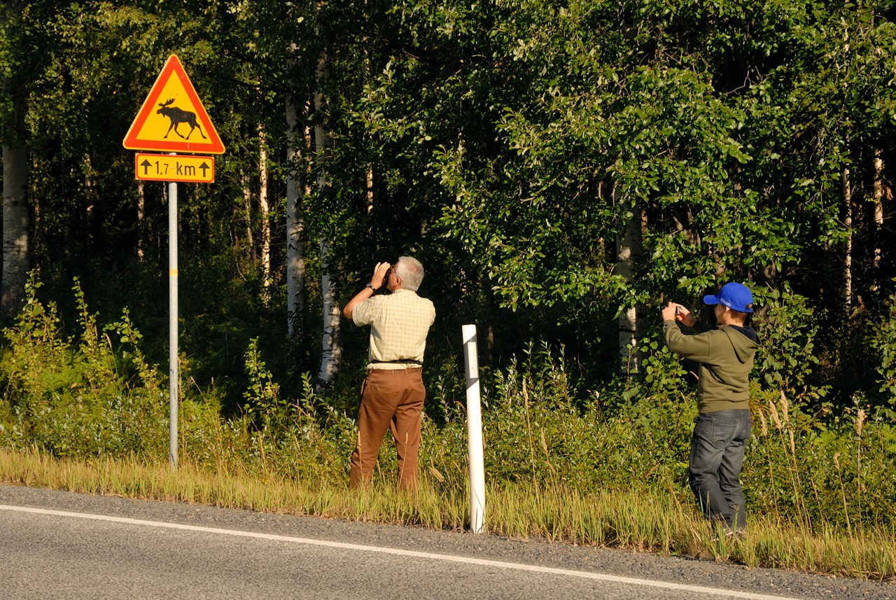DSC_0000-20100819_082926.jpg