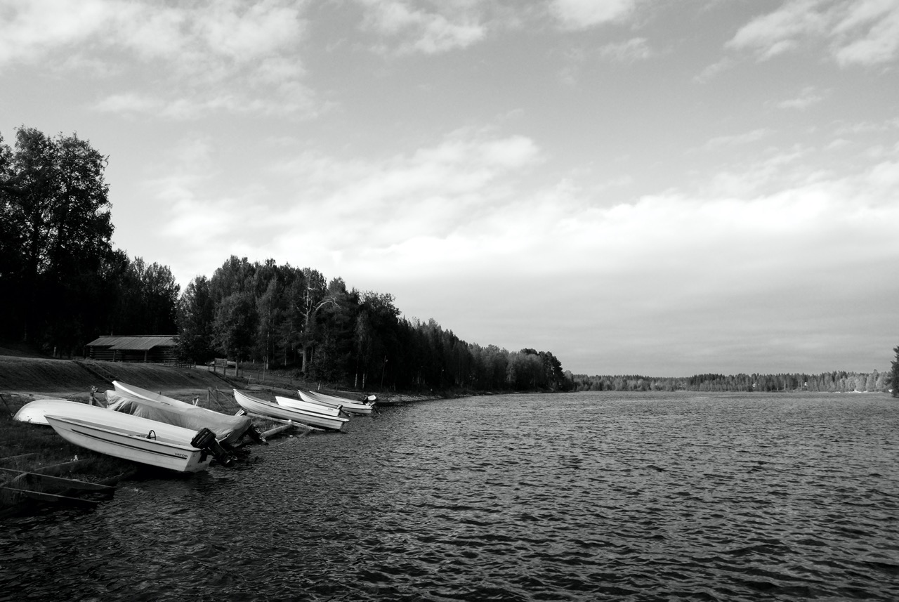 DSC_0046-20100819_163537.jpg