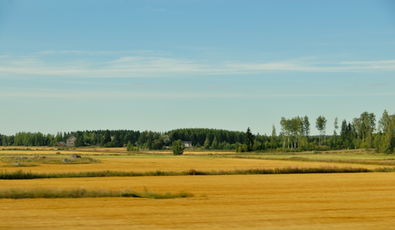 DSC_0176-20100818_161531.jpg