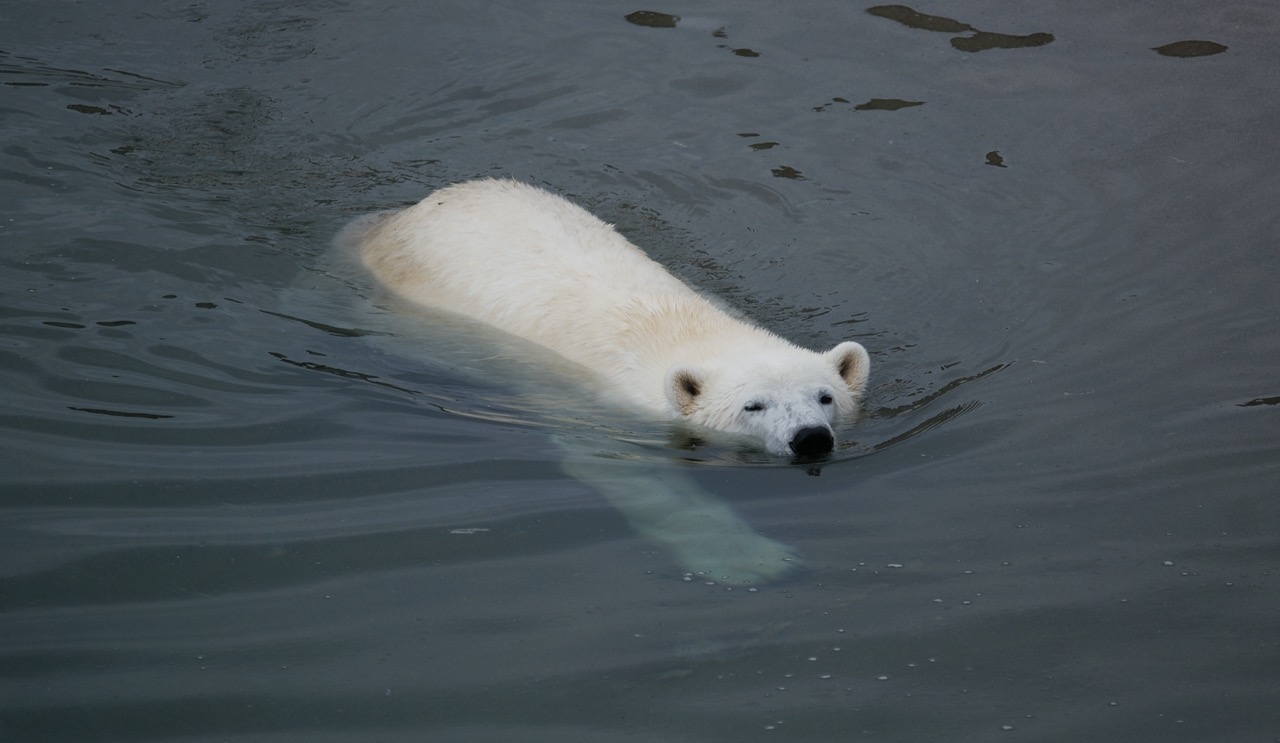 DSC_0186-20100820_113956.jpg