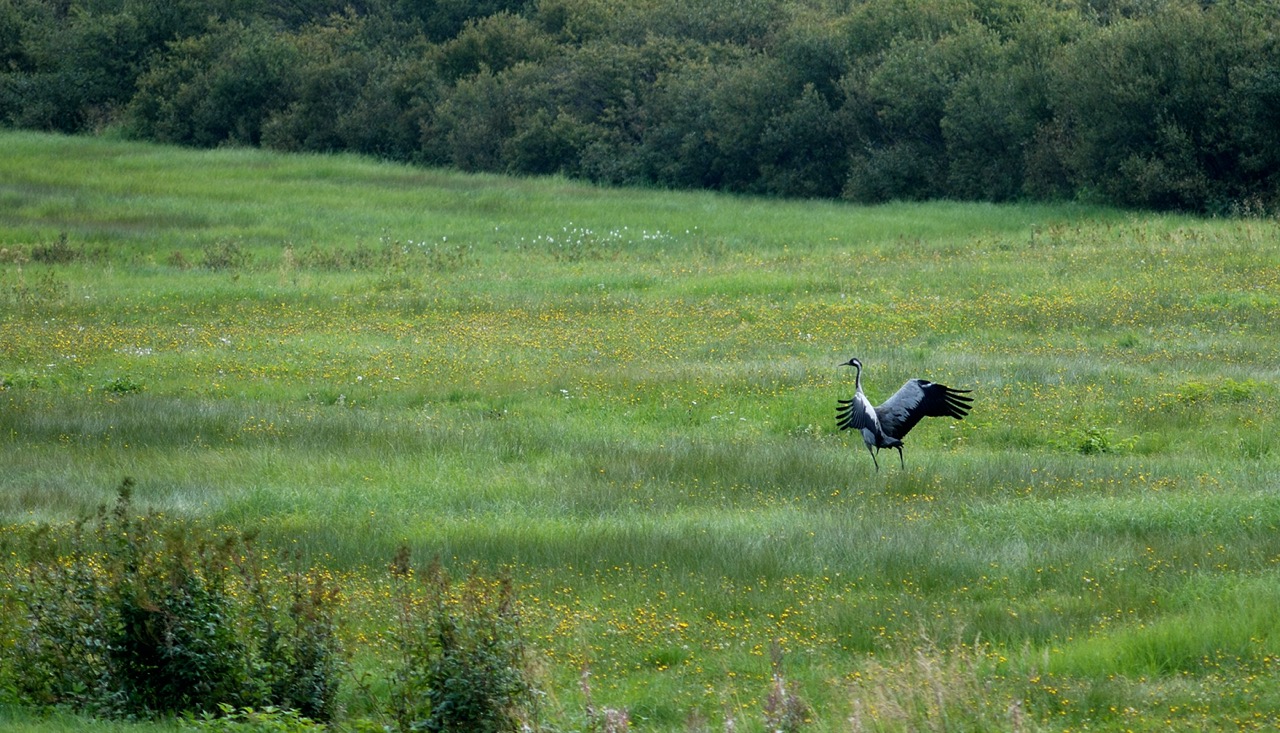 DSC_0257-20100821_092158.jpg