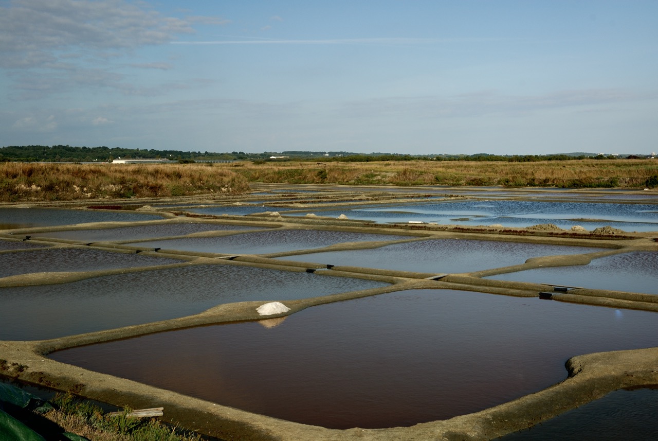 09 113 Guerande.jpg