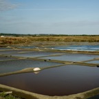 09 113 Guerande.jpg