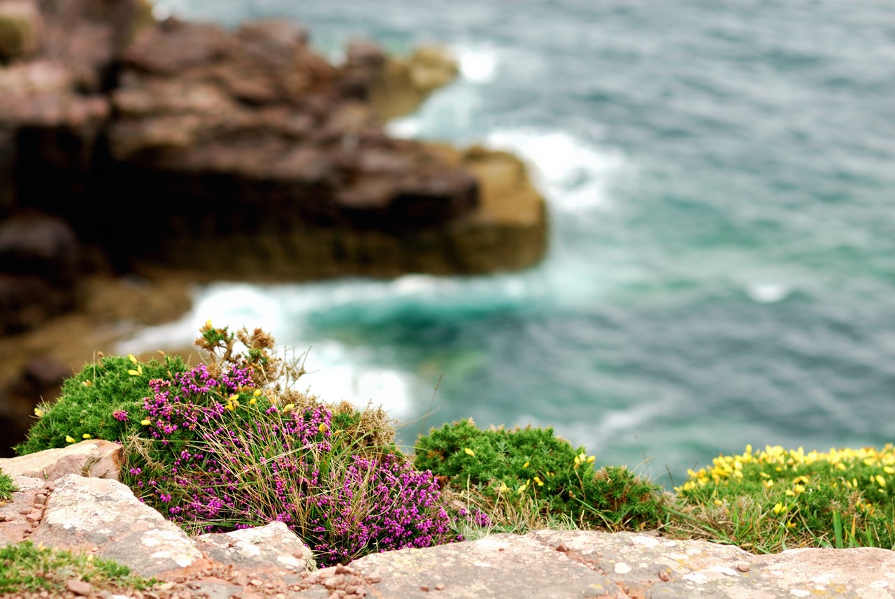 12 008 Cap Frehel.jpg