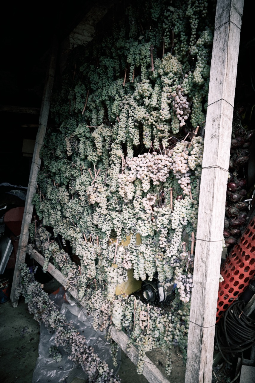 Vin Santo