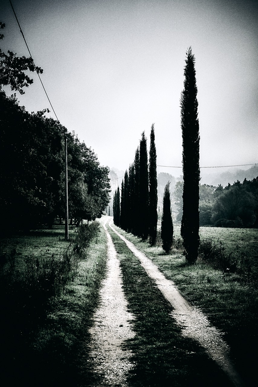 La via